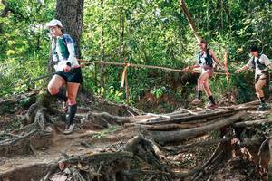 BIB: 
                            <button type="button" onclick="openModal(27558723)" class="btn btn-primary btn-sm float-right btn-popup" data-toggle="modal" data-target=".modal-high-quality">
                        <i class="fas fa-shopping-cart"></i> Add to Cart
                    </button>
                                            <button type="button" onclick="isThisMe(27558723, true)" class="btn btn-success btn-sm float-right btn-popup btn-isme hidden" data-toggle="tooltip" data-placement="bottom" title="นี่คือรูปของคุณใช่ไหม คลิกที่นี่เพื่อเอาเข้าอัลบั้ม">
                        <i class="fas fa-plus"></i> Add to album
                    </button>
                    <button type="button" onclick="isThisMe(27558723, false)" class="btn btn-warning btn-sm float-right btn-popup btn-isnotme hidden">
                        <i class="fas fa-ban"></i> Remove from album
                    </button>